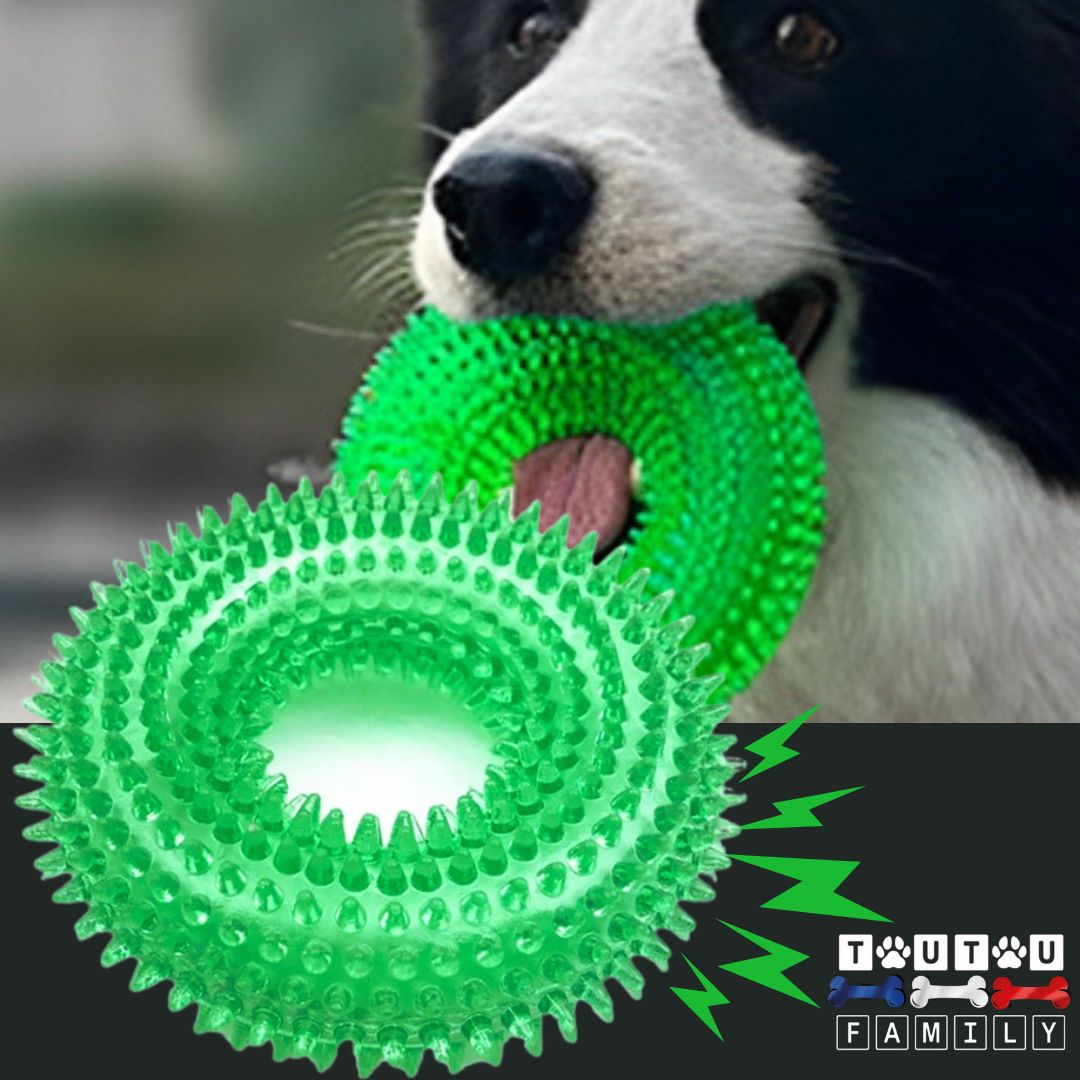 Jouet chien - FlotteToutou™
