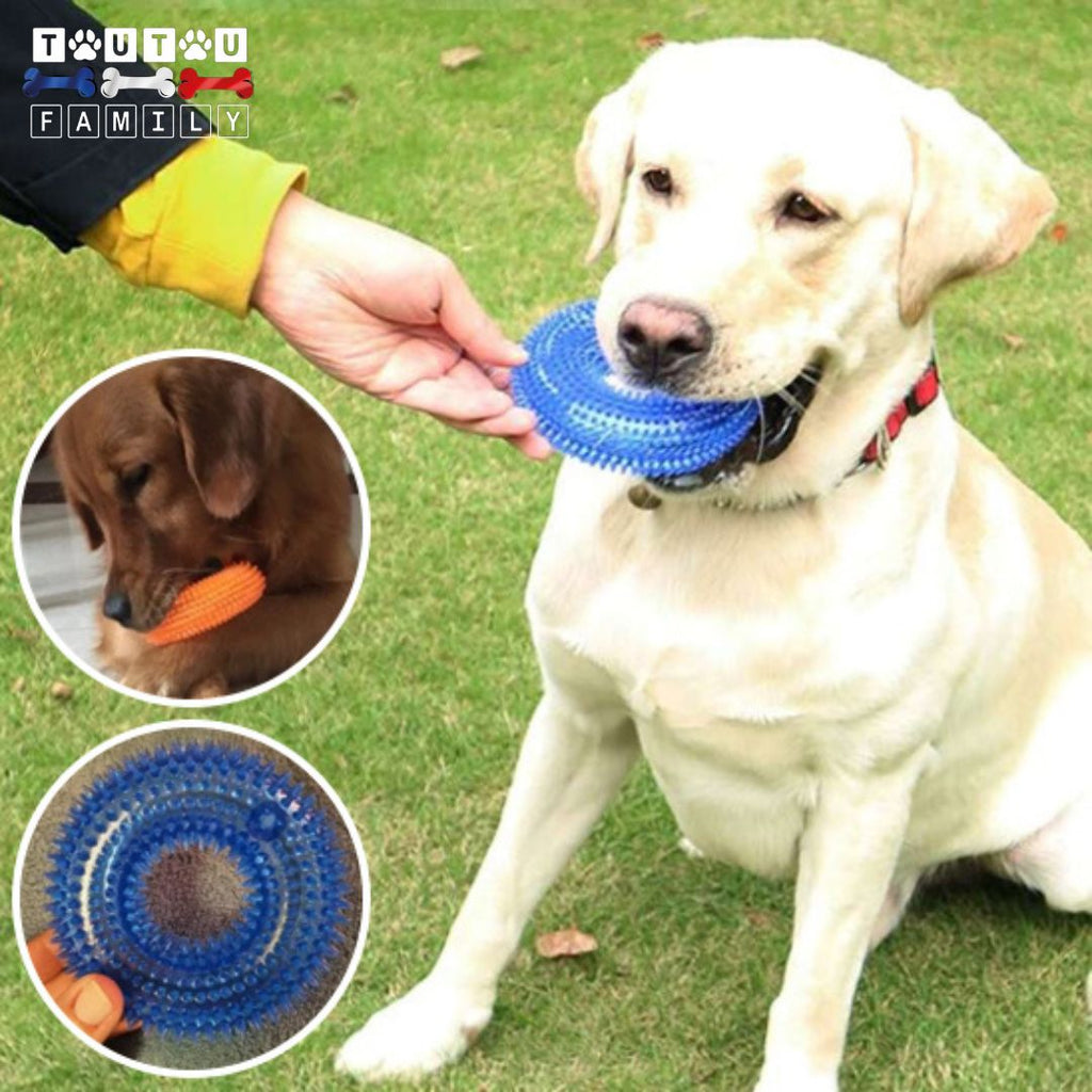 Jouet chien - FlotteToutou™