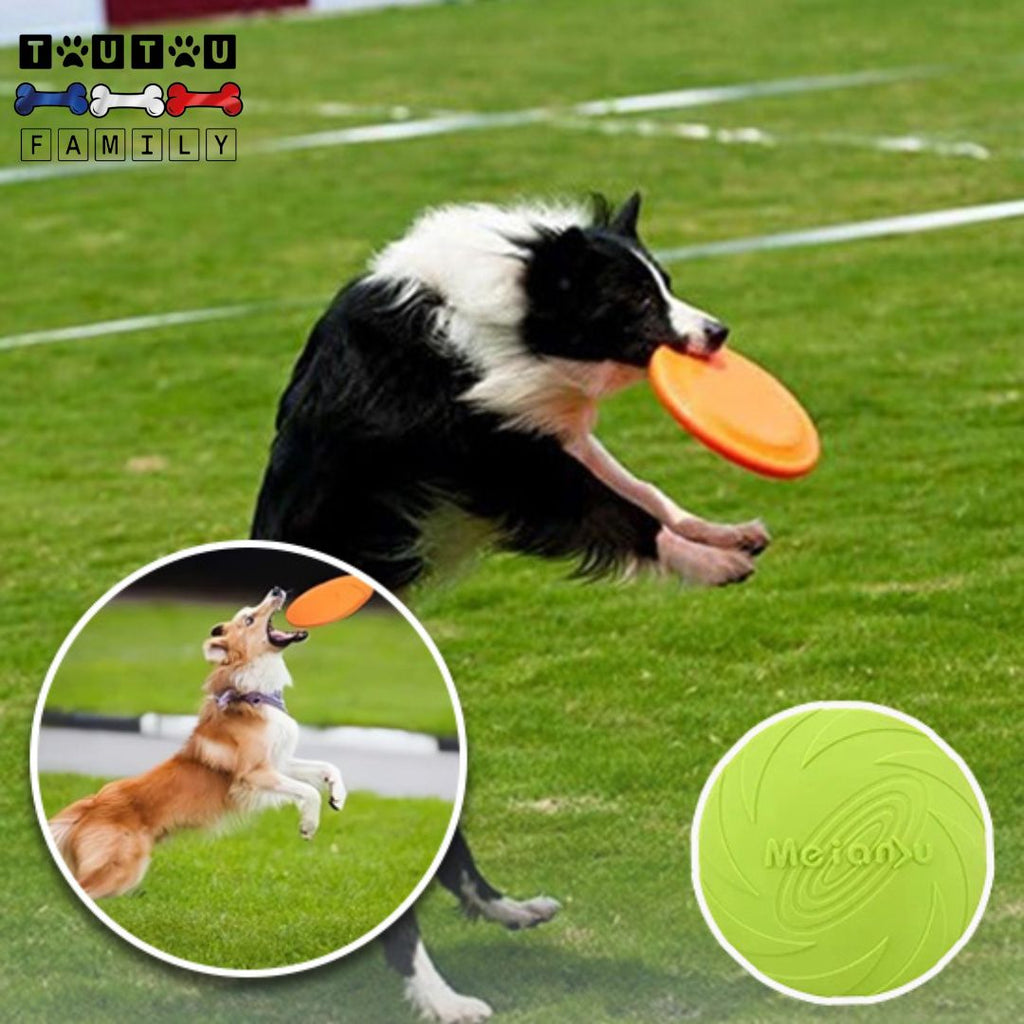 Jouet chien interactif - FrisbeeToutou™