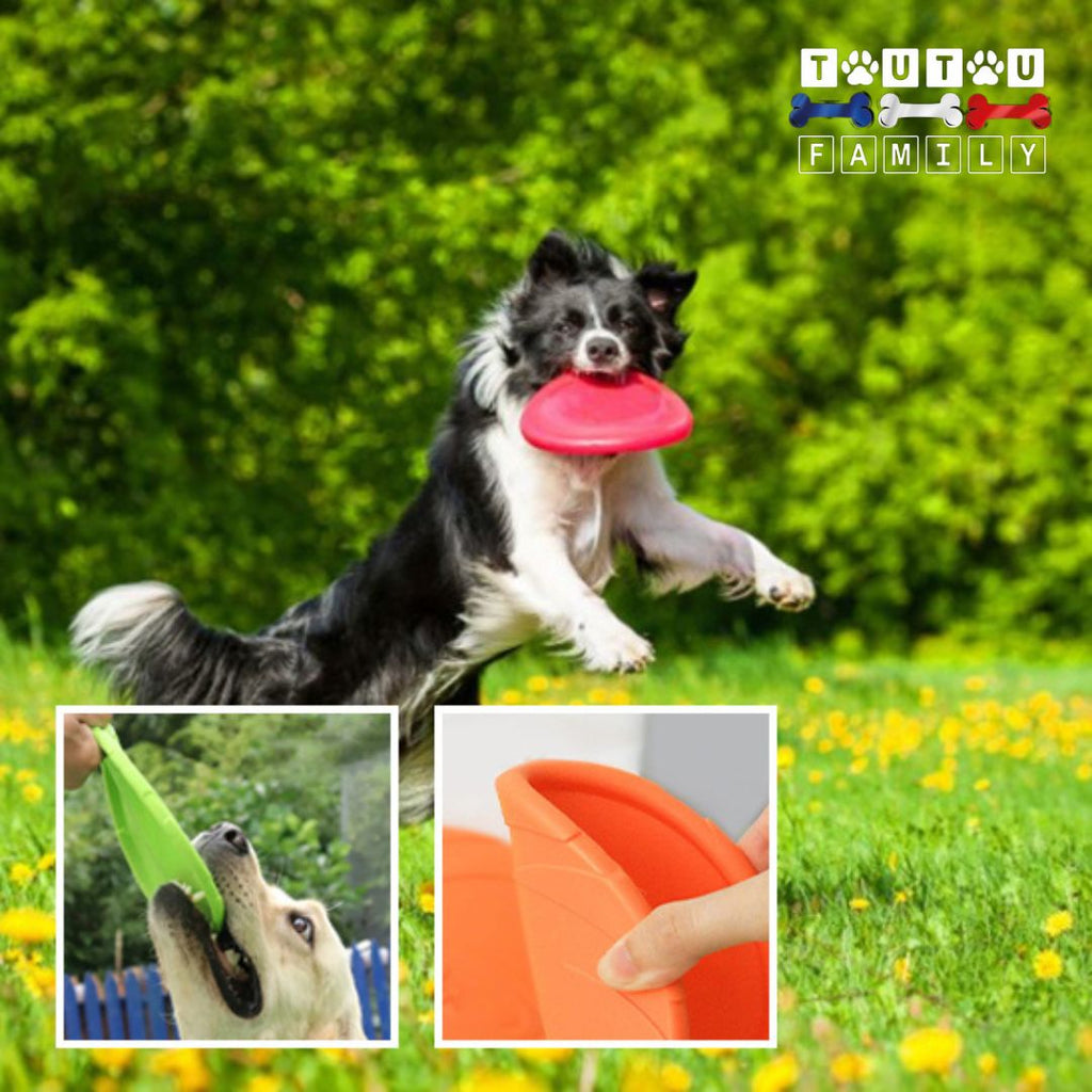 Jouet chien interactif - FrisbeeToutou™
