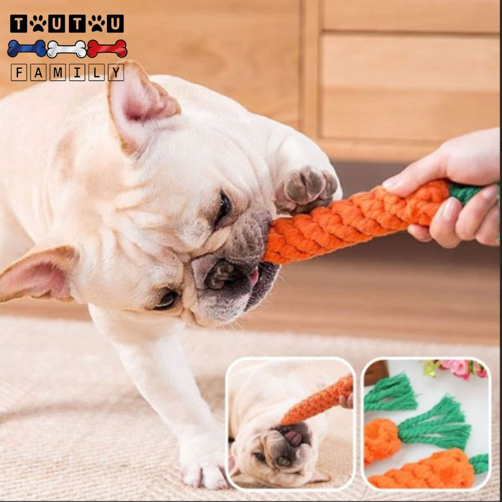 Jouet chien - TireToutou™
