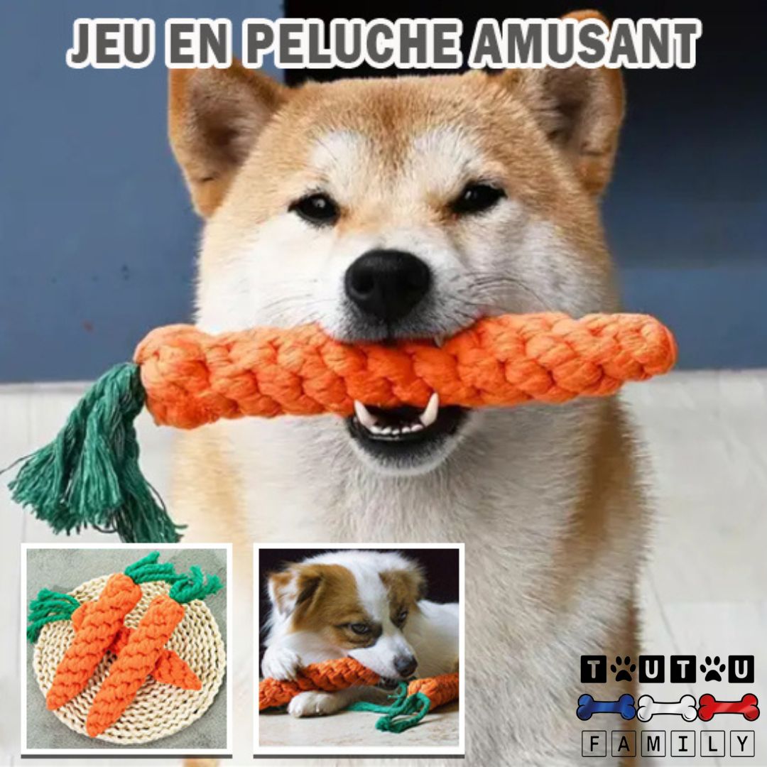 Jouet chien - TireToutou™