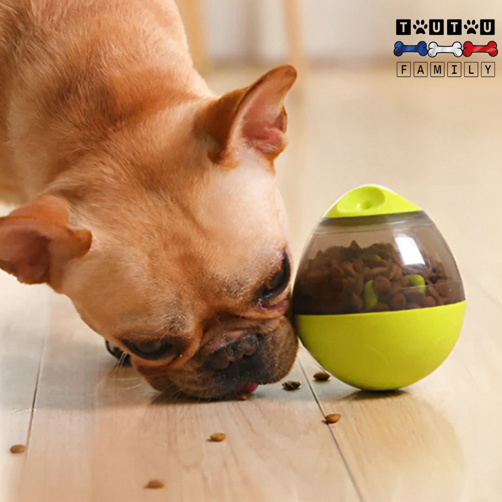 Jouet distributeur de croquette chien - BouleToutou™