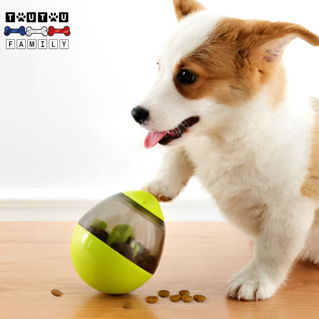 Jouet distributeur de croquette chien - BouleToutou™