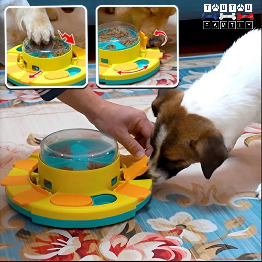 Jouet distributeur de croquette chien intelligent - RéflexionToutou™