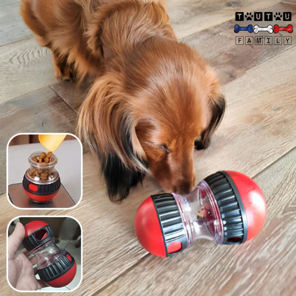 Jouet distributeur de croquette chien - StimuleToutou™