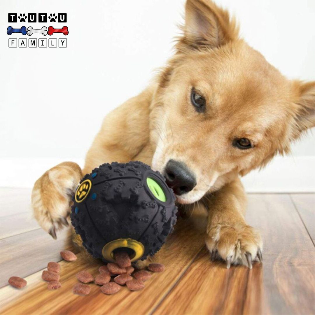 Jouet distributeur de croquettes chien - DéveloppeToutou™