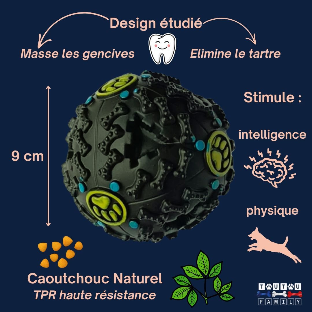 Jouet distributeur de croquettes chien - DéveloppeToutou™
