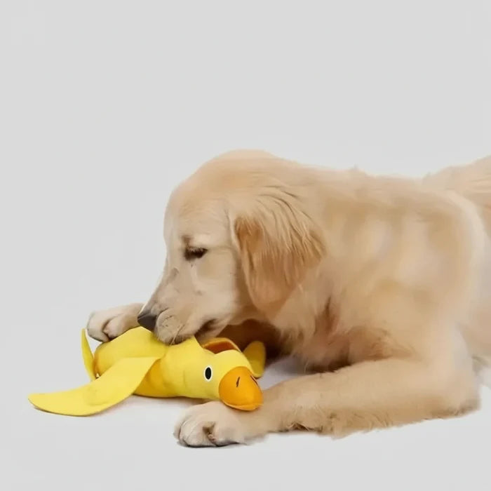 Jouet Avec Distributeur De Croquettes Pour Chien
