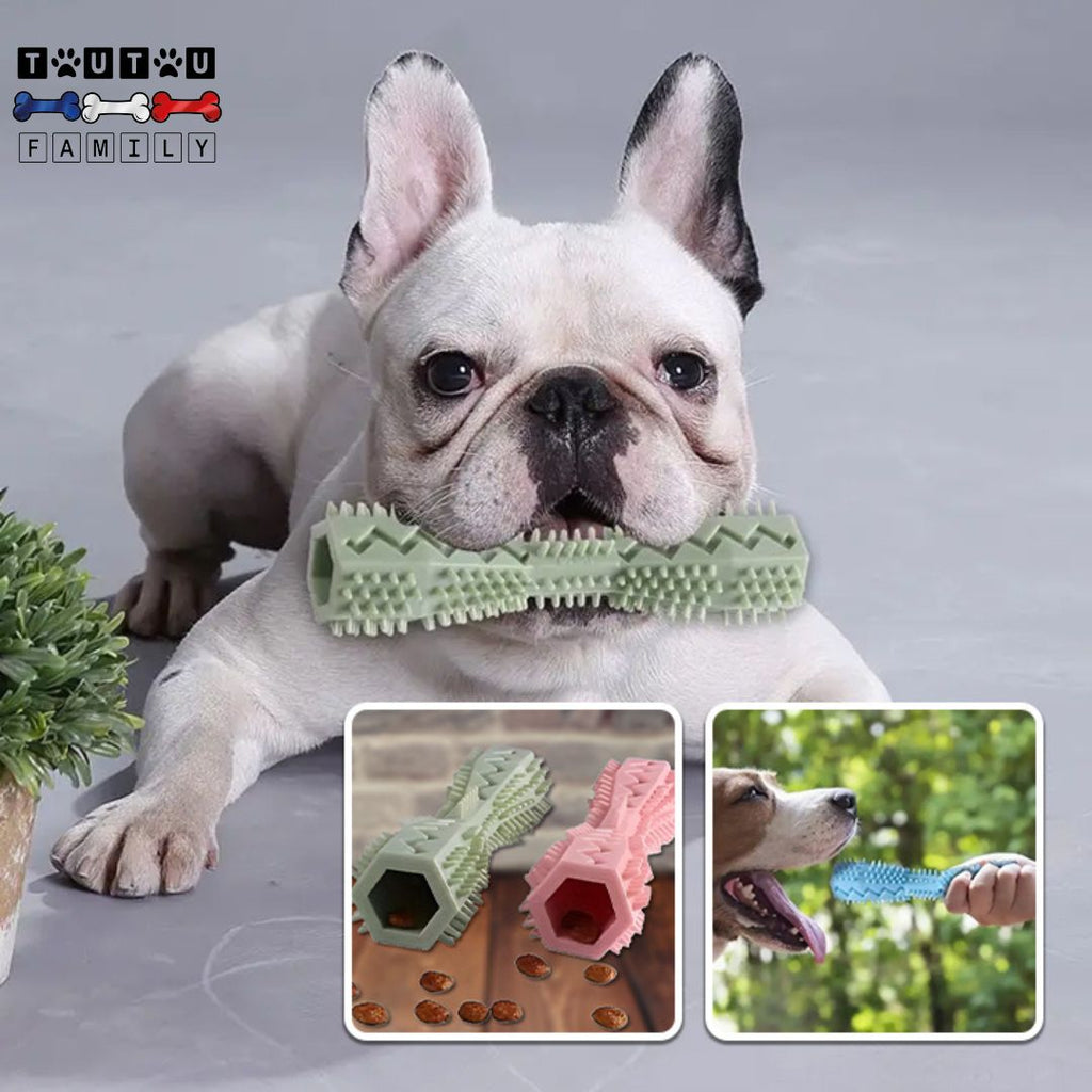 Jouet d'occupation chien - DistraiToutou™