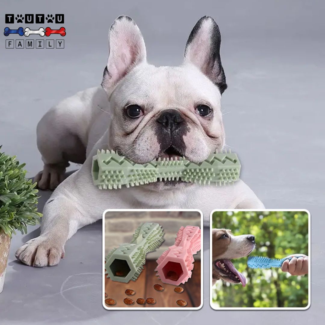 Jouet d'occupation chien - DistraiToutou™
