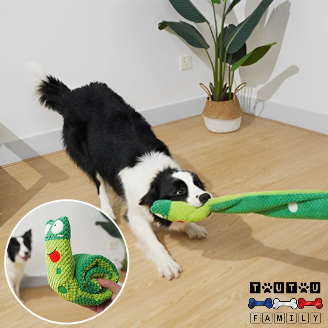 Jouet d'occupation chien  - GrenouilleToutou™