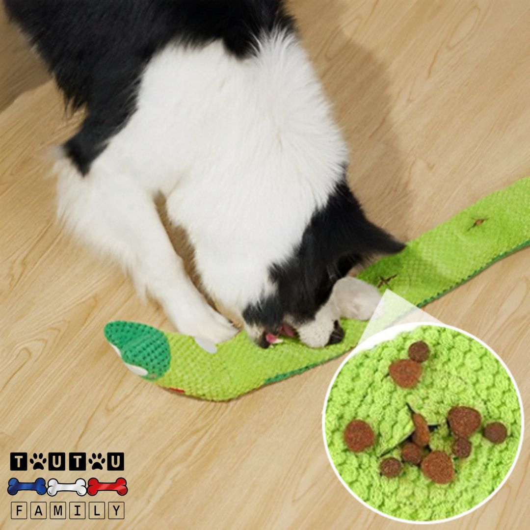 Jouet d'occupation chien  - GrenouilleToutou™