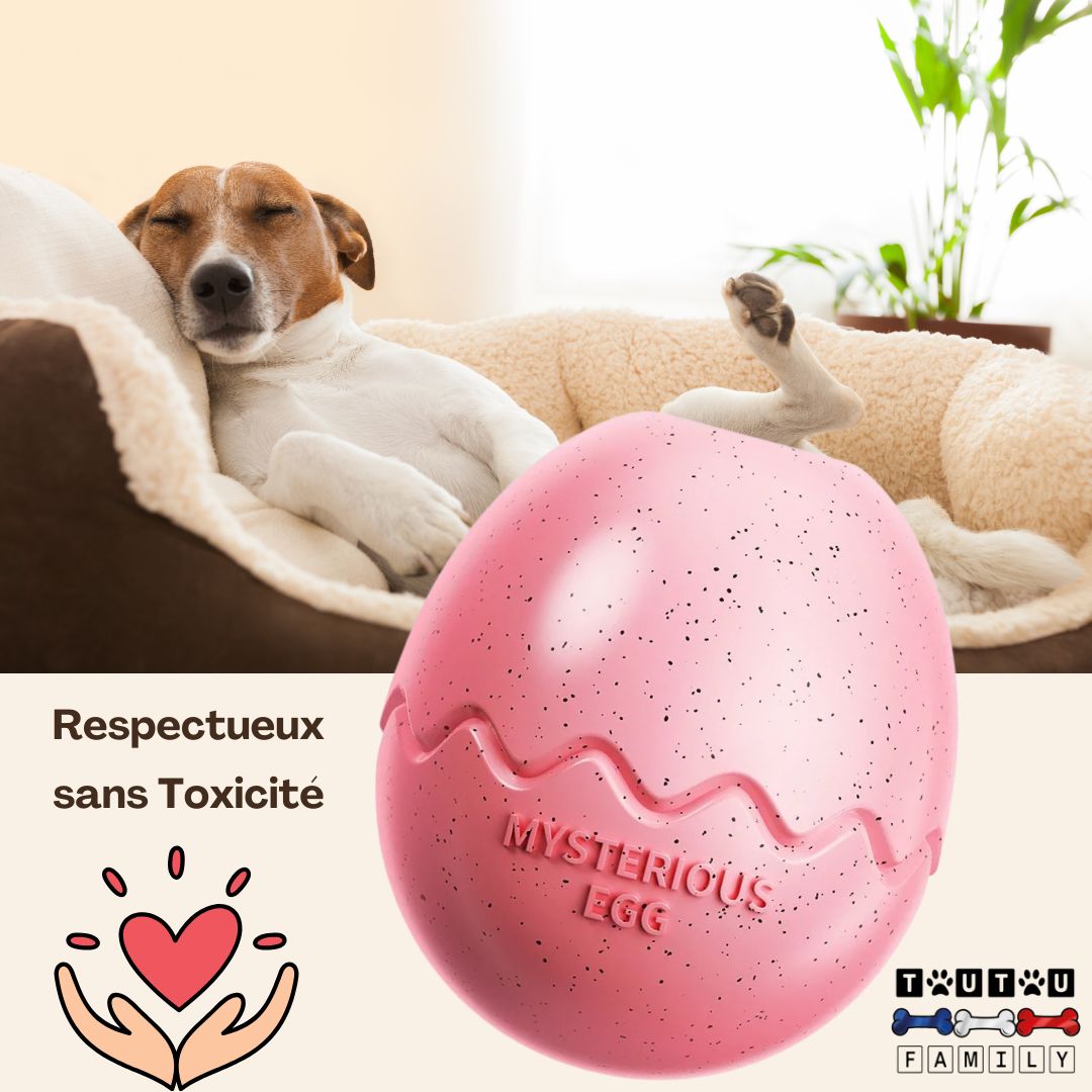 Jouet d'occupation chien - ZenToutou™