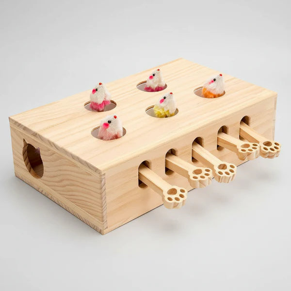 Jouet En Bois Et Interactif Pour Chat