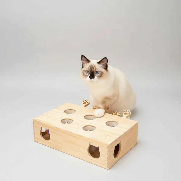 Jouet En Bois Et Interactif Pour Chat