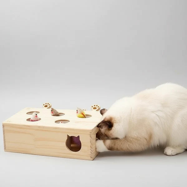 Jouet En Bois Et Interactif Pour Chat