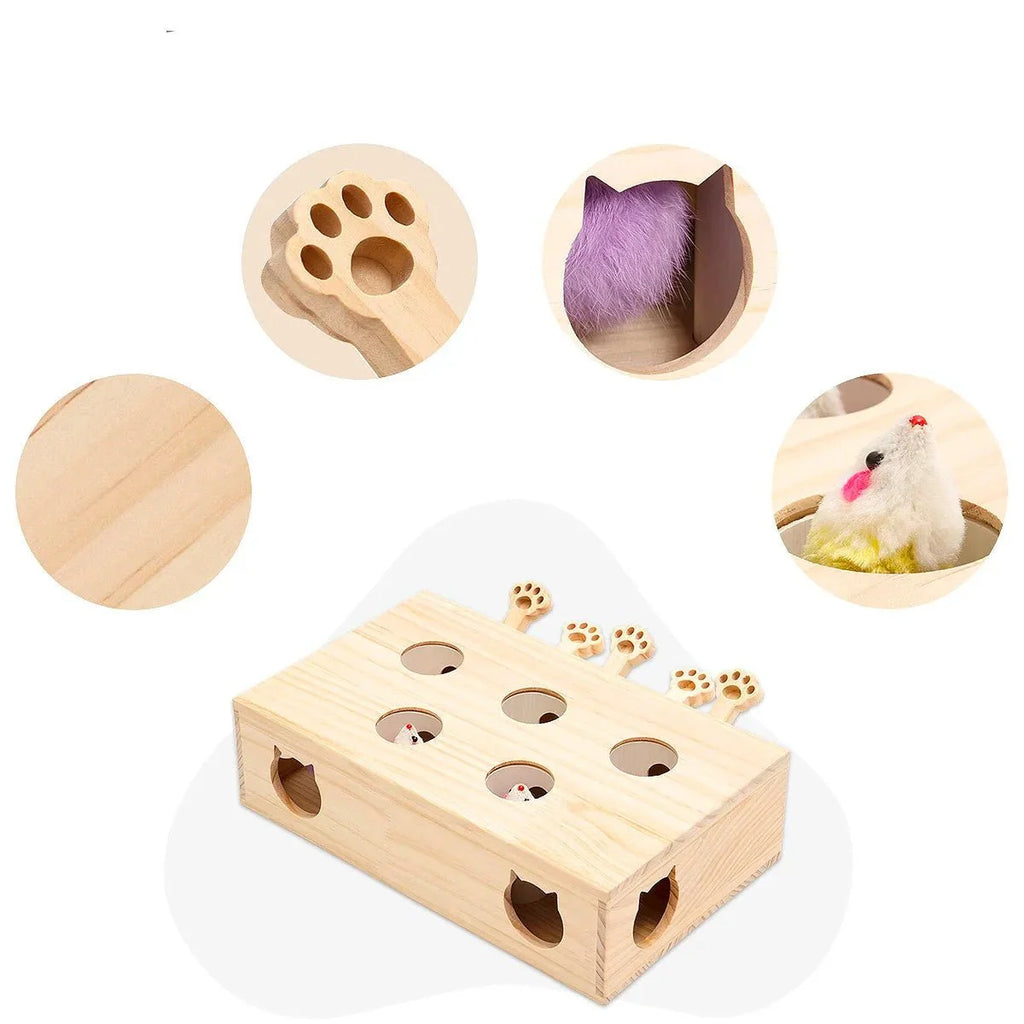 Jouet En Bois Et Interactif Pour Chat