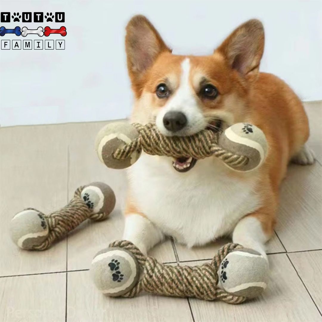 Jouet en corde pour chien - CordeToutou™