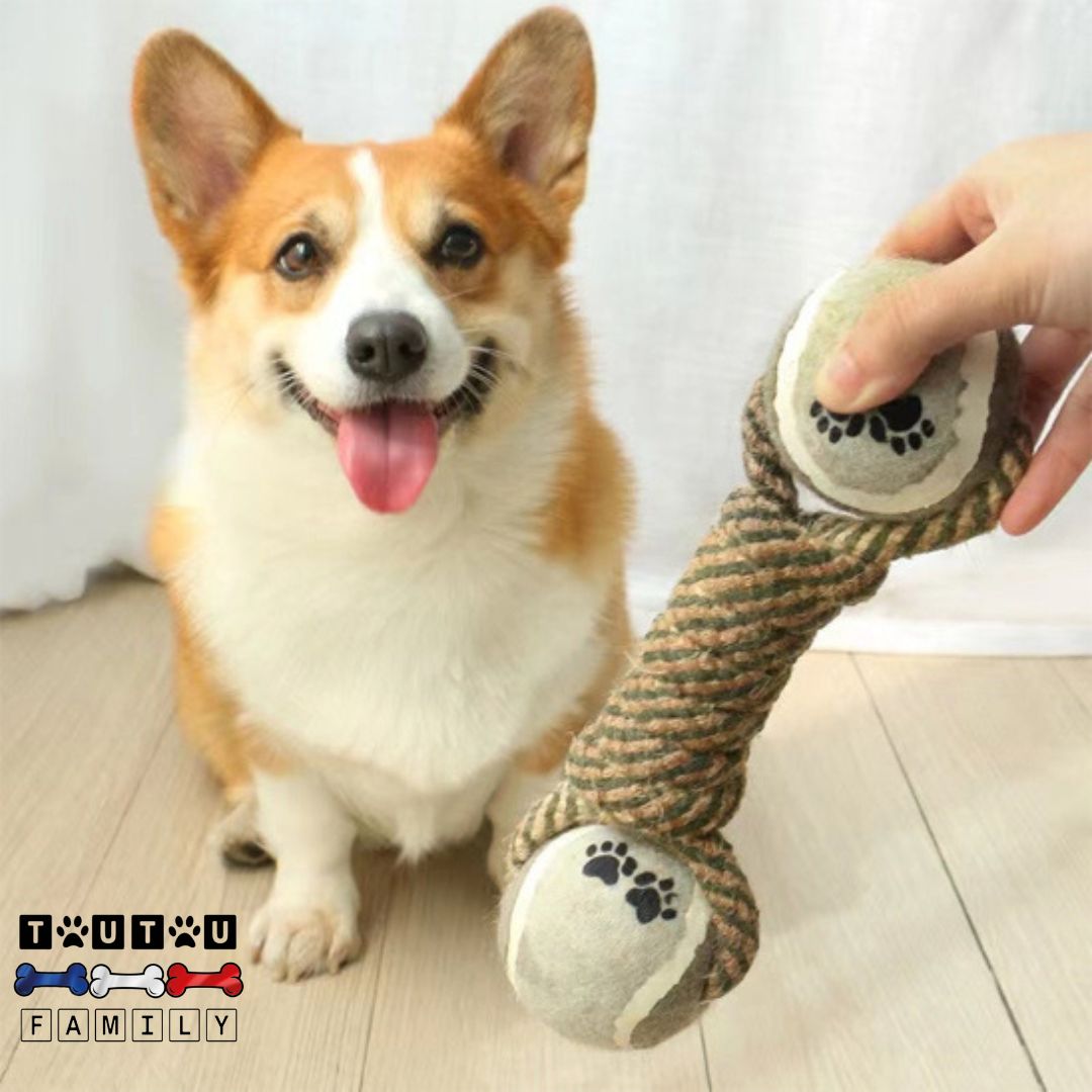 Jouet en corde pour chien - CordeToutou™