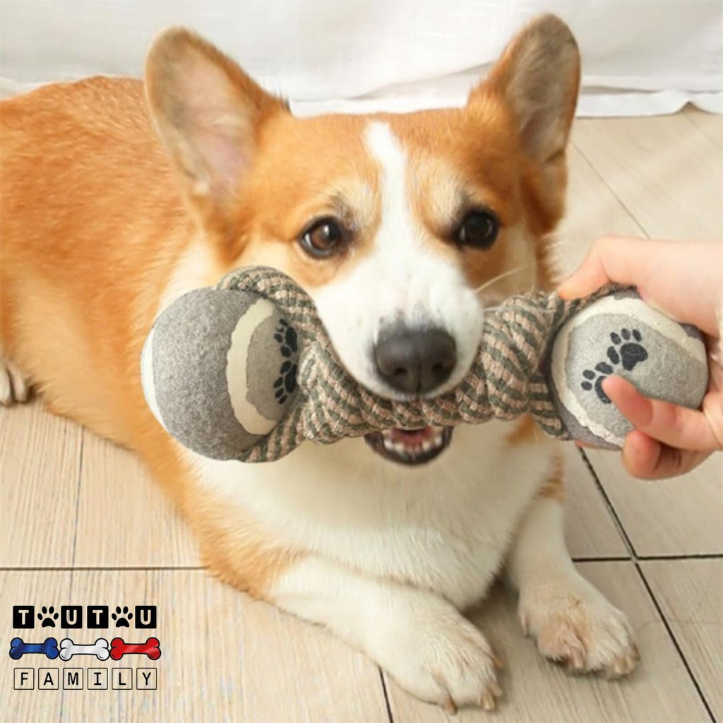 Jouet en corde pour chien - CordeToutou™