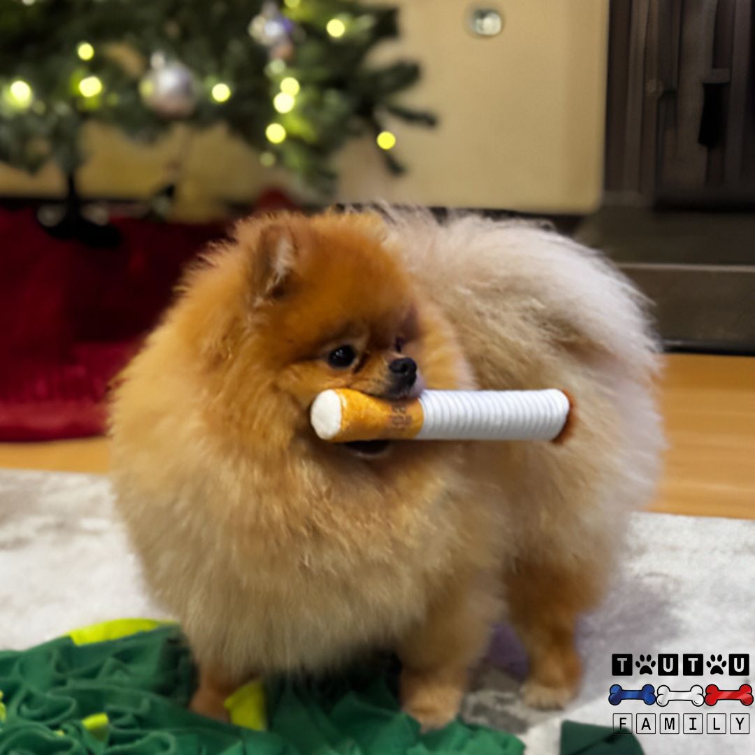 Jouet en peluche pour chien - ClopeToutou™