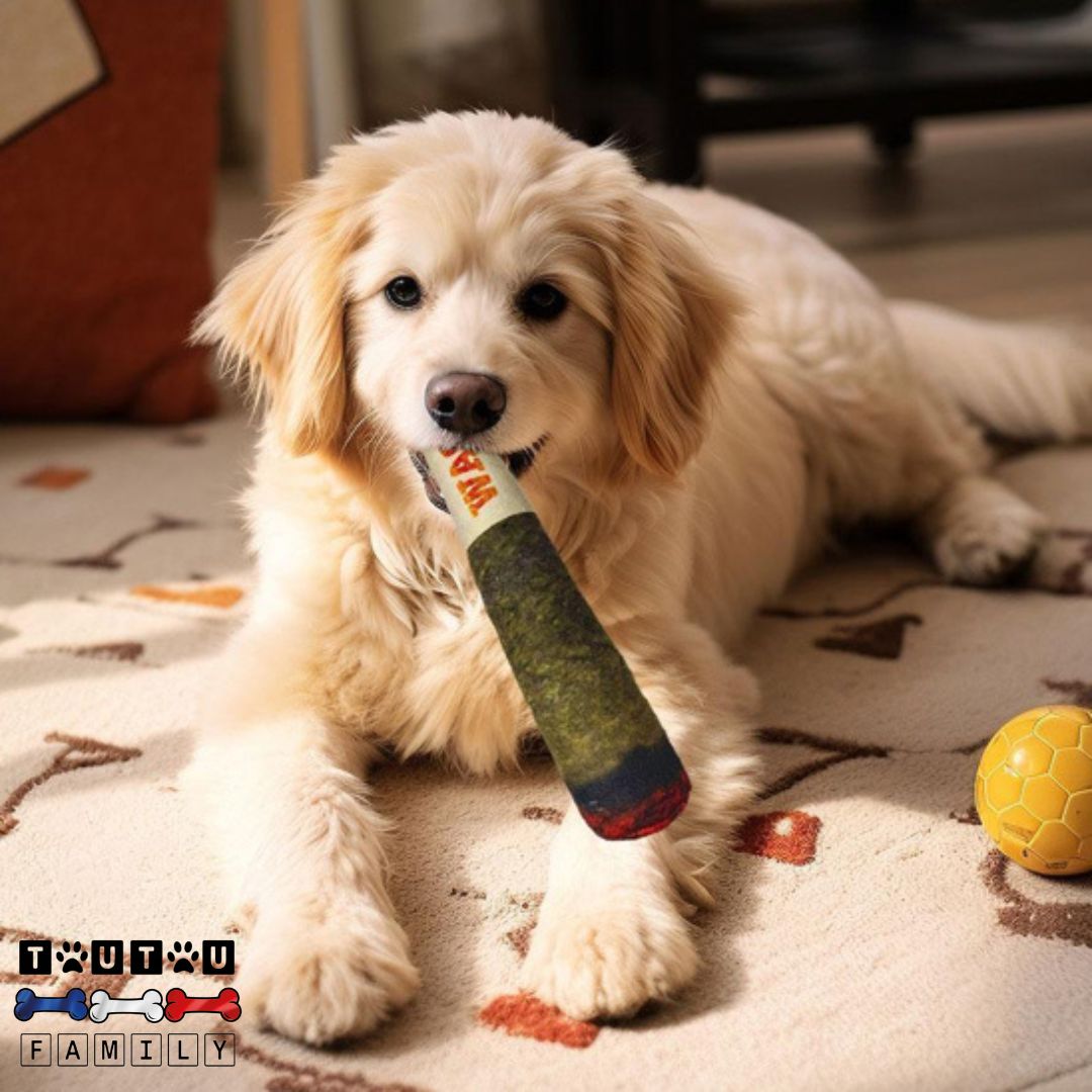 Jouet en peluche pour chien -ParrainToutou™