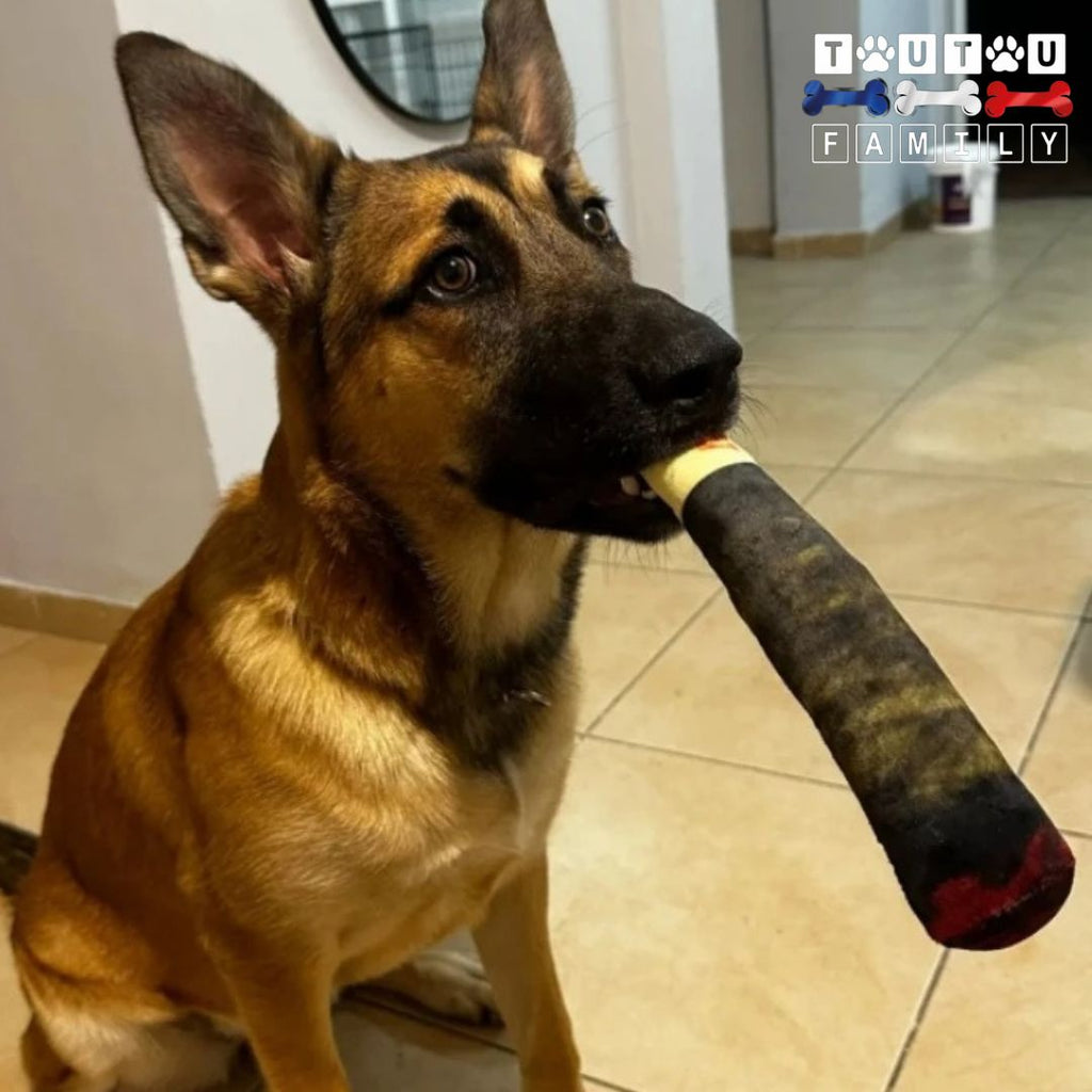 Jouet en peluche pour chien -ParrainToutou™