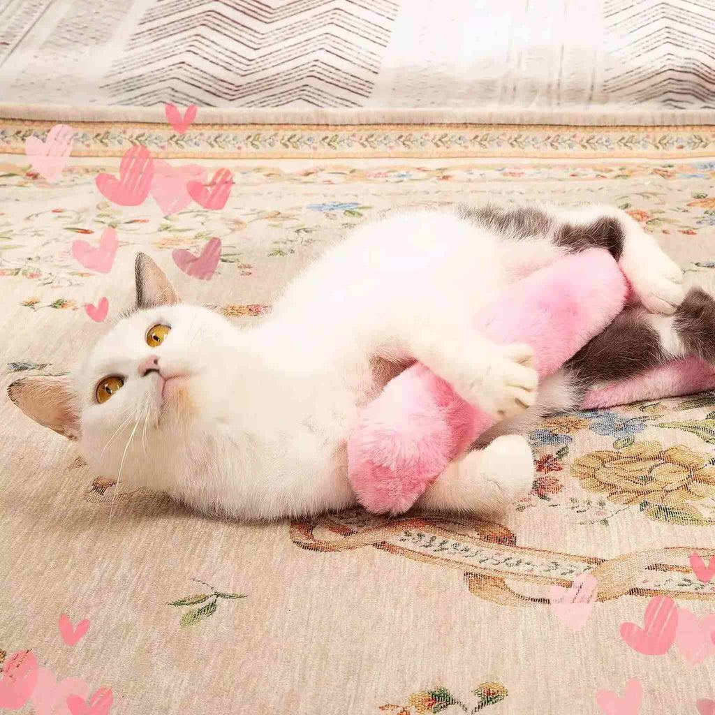 jouet herbe a chat | Bâton Coloré