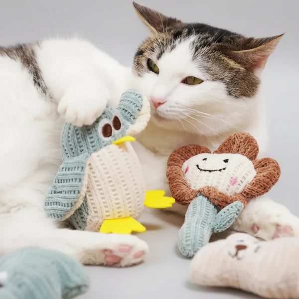 Jouet Avec Herbe Naturelle Pour Chat