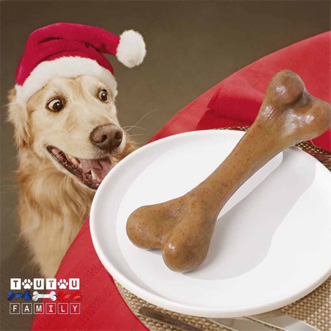 Jouet indestructible pour chien - DestructeurToutou™