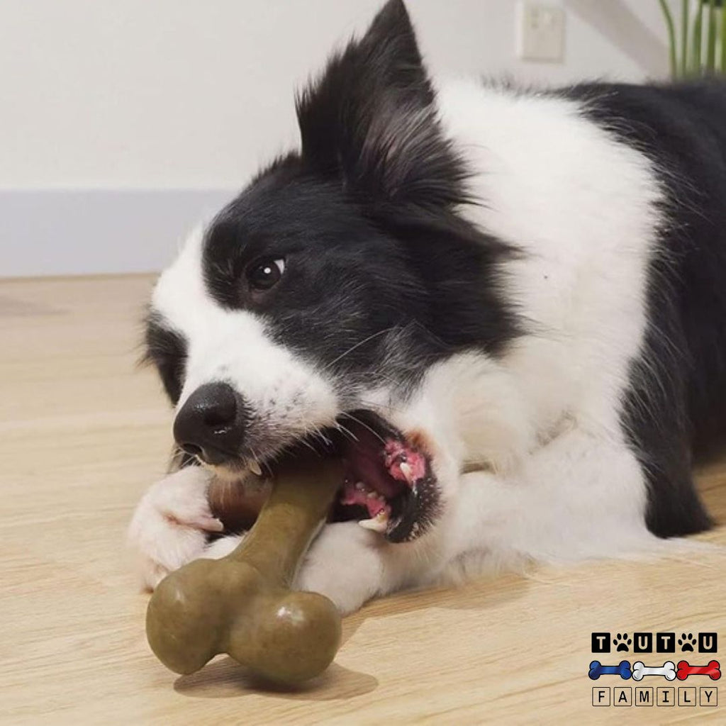 Jouet indestructible pour chien - DestructeurToutou™