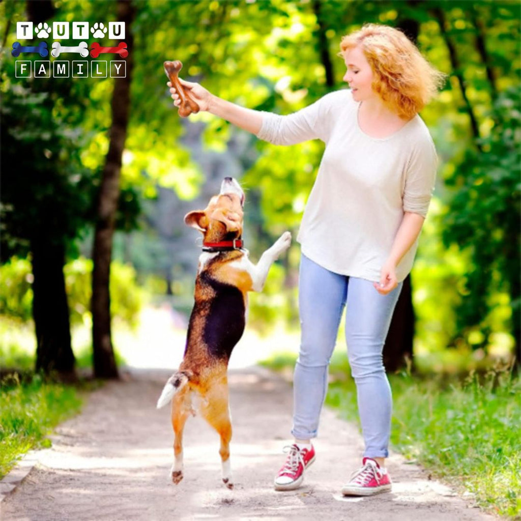 Jouet indestructible pour chien - DestructeurToutou™