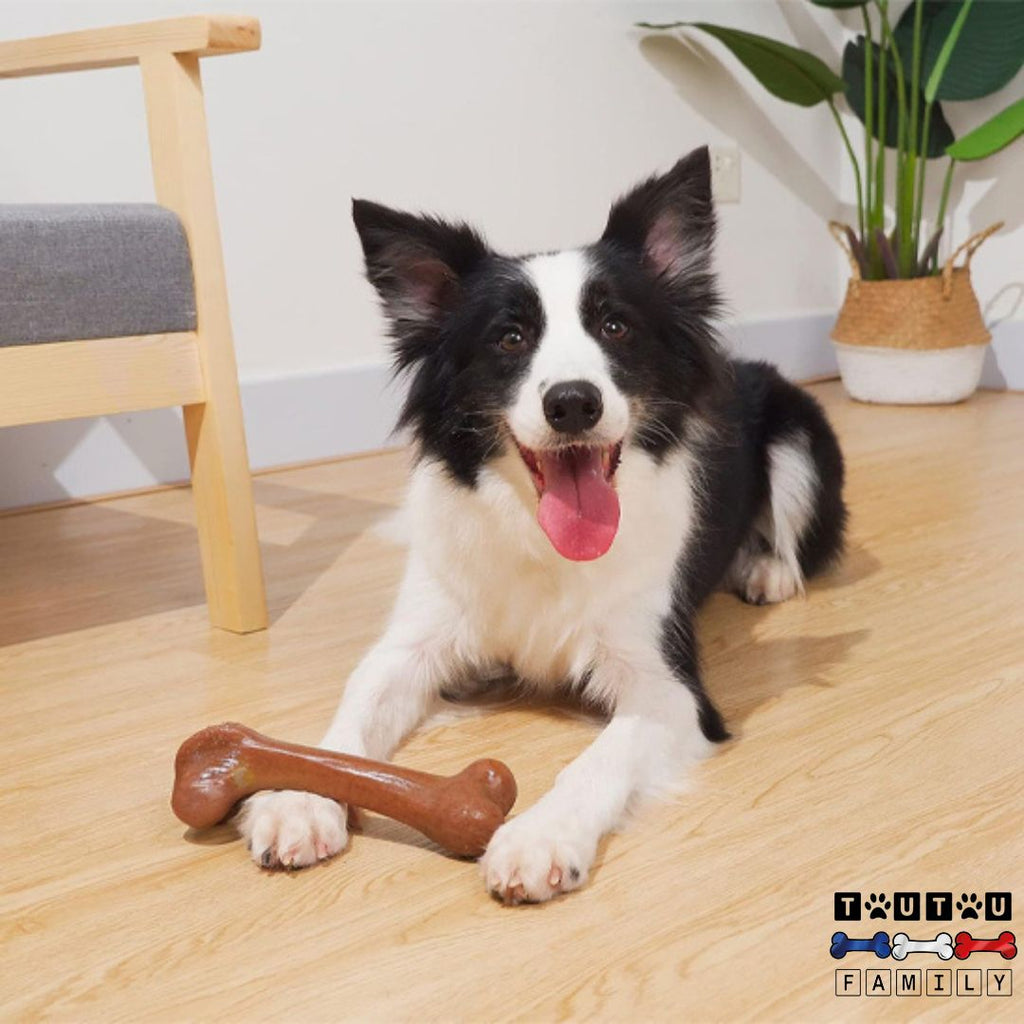 Jouet indestructible pour chien - DestructeurToutou™