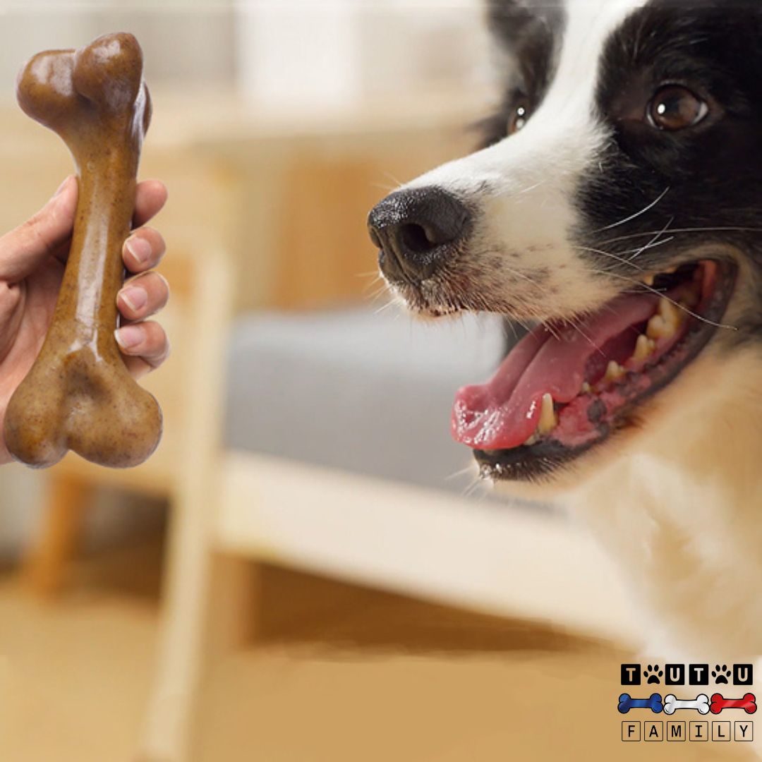 Jouet indestructible pour chien - DestructeurToutou™