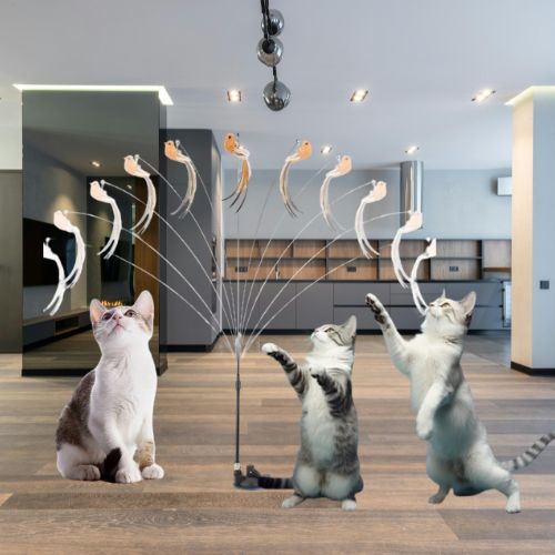 jouet interactif chat | JOUBIRD