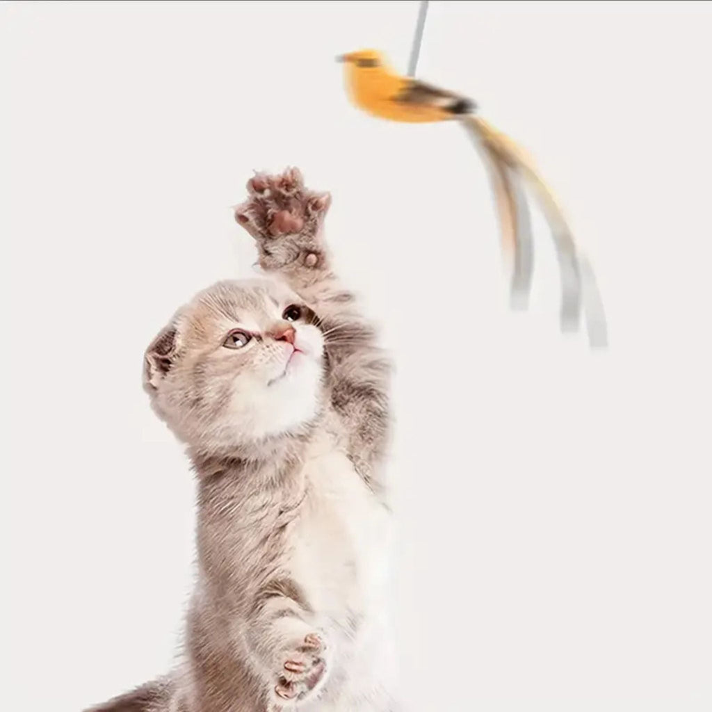 jouet interactif chat | JOUBIRD