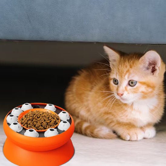 jouet interactif chat PUZZLEBOWL