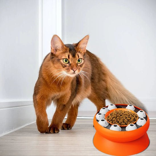 jouet interactif chat PUZZLEBOWL