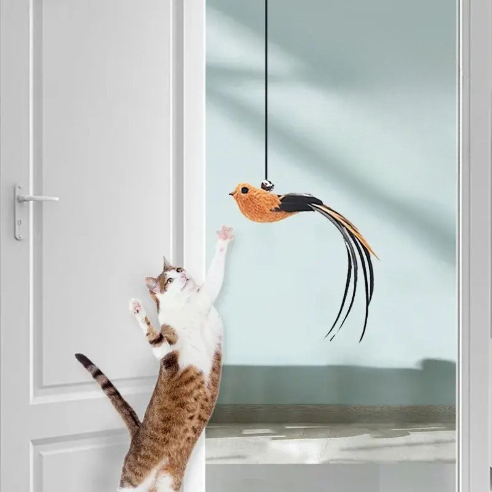 jouet interactif chat | JOUBIRD