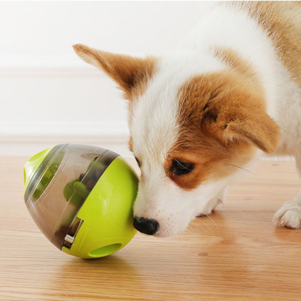 Jouet interactif chien | WoofWonder™