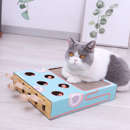 jouet interactif pour chat 3 en 1 Chasse Taupe