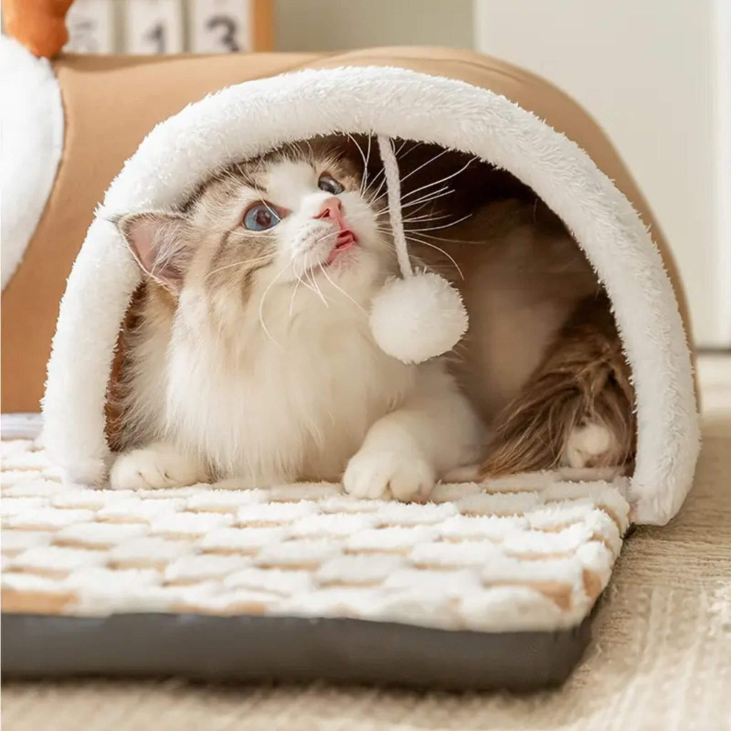 jouet interactif pour chat tunnel tapis