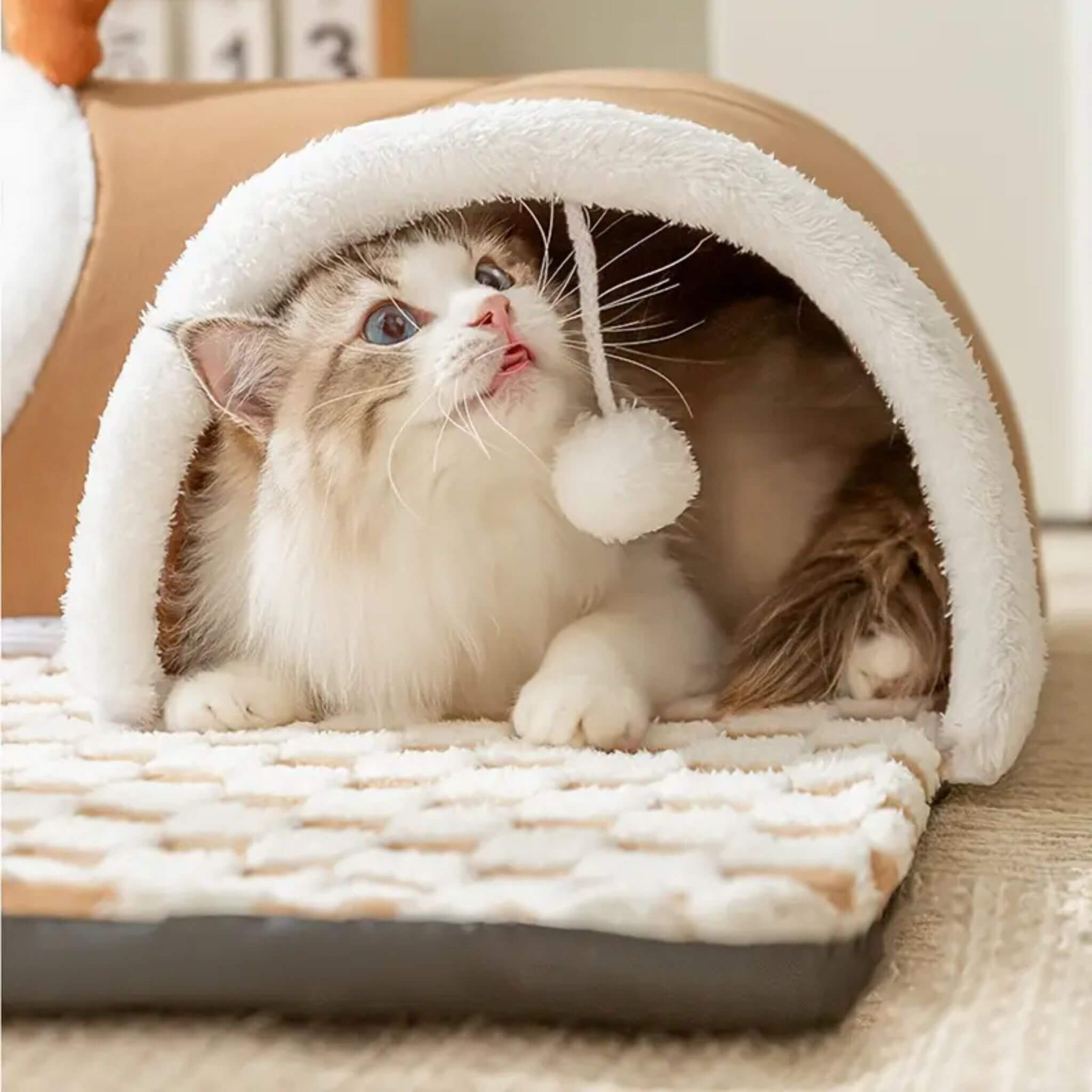 jouet interactif pour chat tunnel tapis