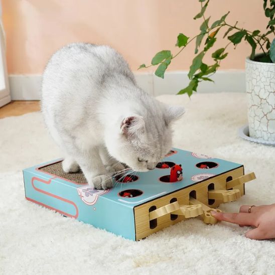 jouet interactif pour chat 3 en 1 Chasse Taupe