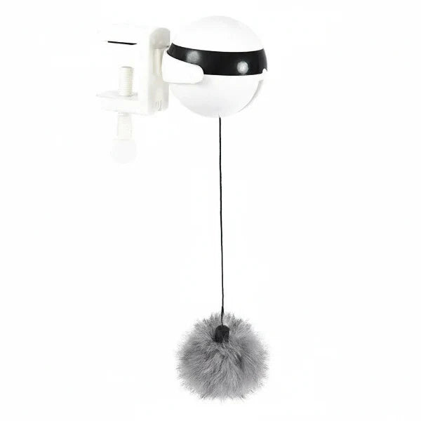 Jouet Interactif Pour Chat Design Et Résistant