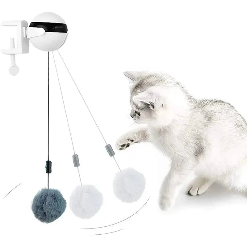 Jouet Interactif Pour Chat Design Et Résistant