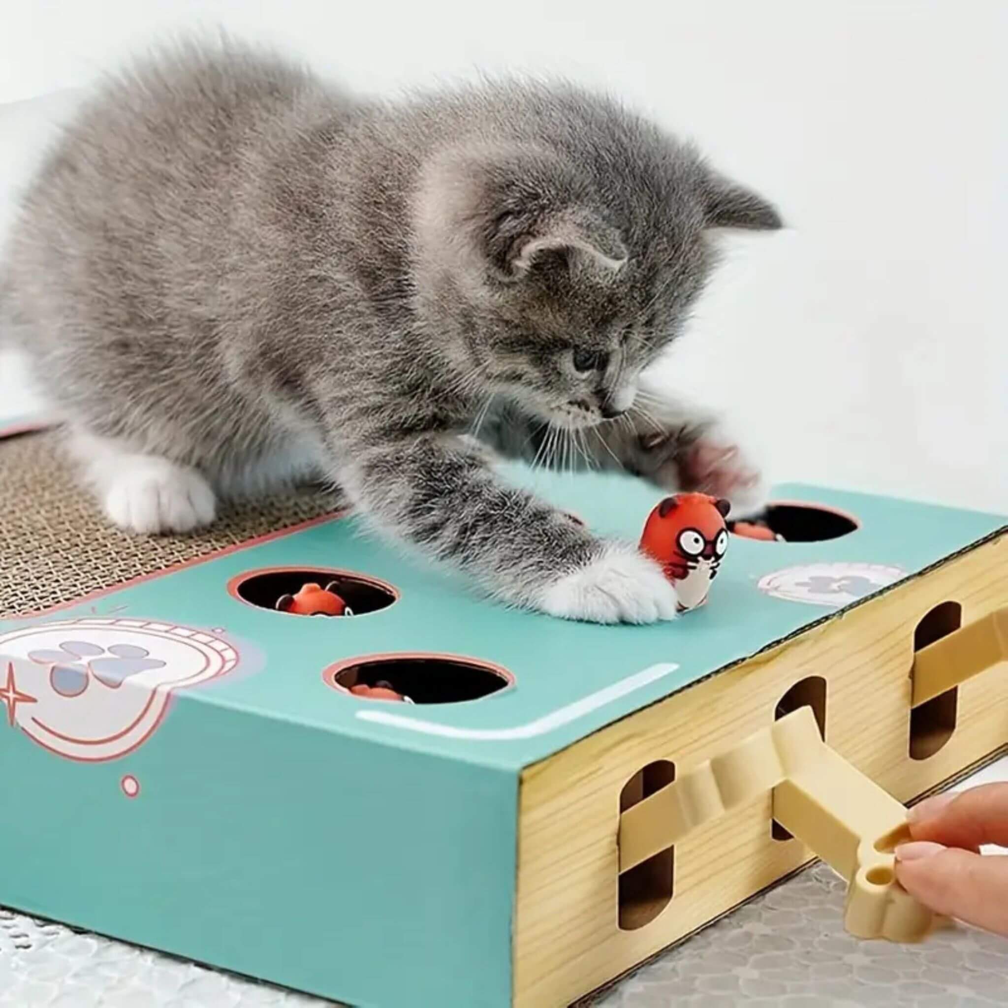 jouet interactif pour chat 3 en 1 Chasse Taupe