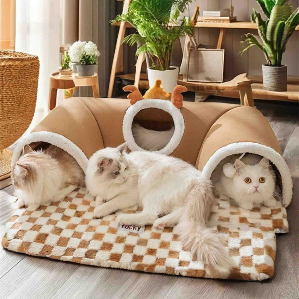 jouet interactif pour chat tunnel tapis