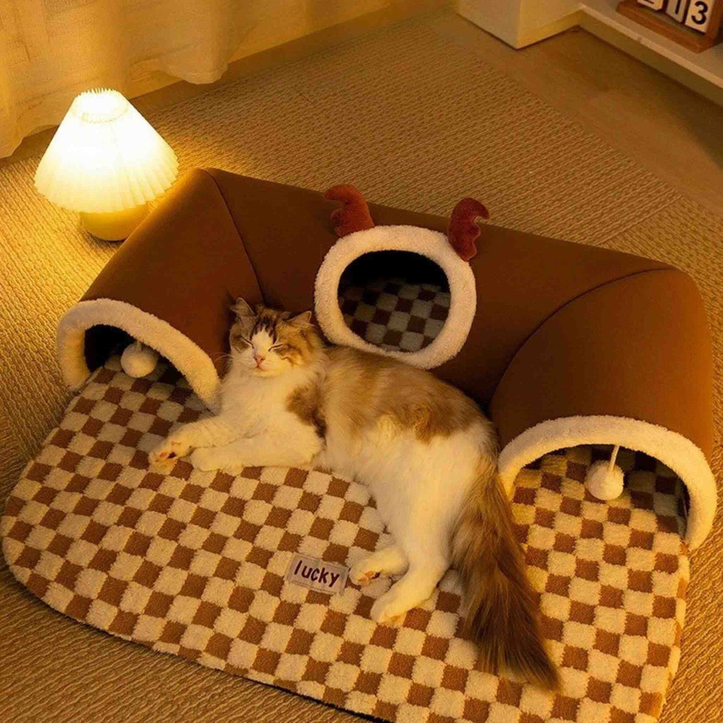jouet interactif pour chat tunnel tapis